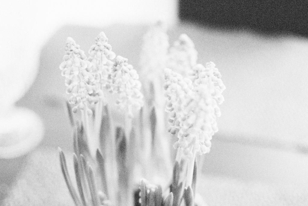 photo DSC_0005_zpsgfjczb41.jpg