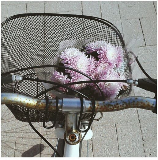 photo ig5_zpswcqupqct.jpg
