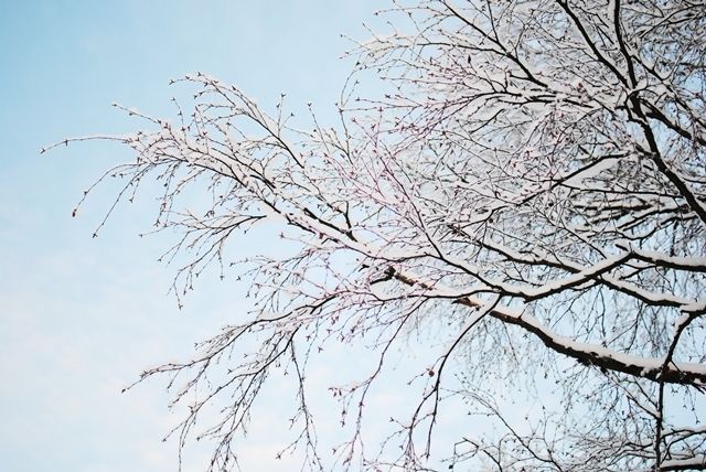 photo DSC_0066_zpsjtx88yq8.jpg