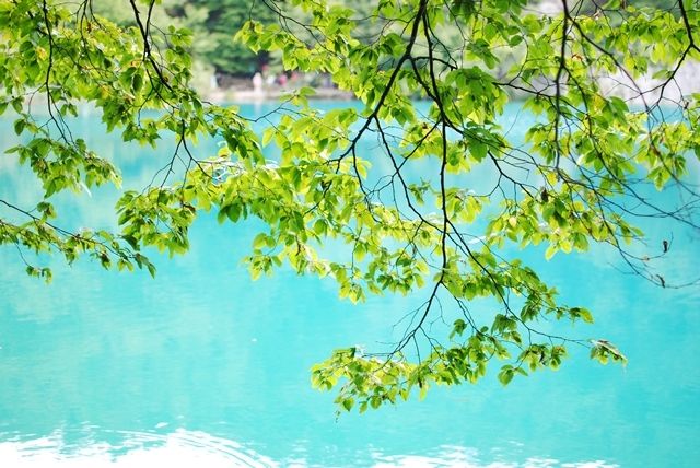 photo DSC_0088_zpsohcldman.jpg
