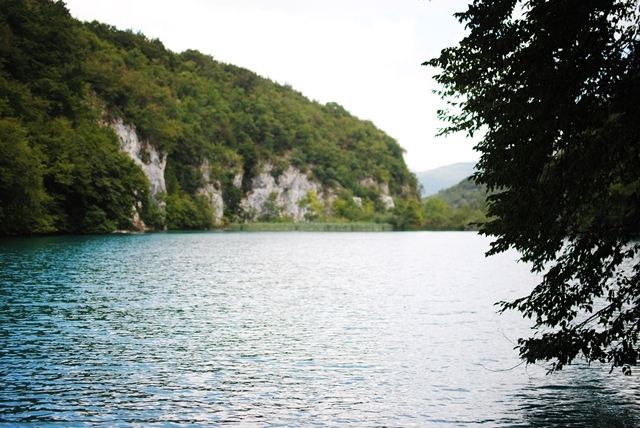 photo DSC_0127_zpscxojfnxi.jpg