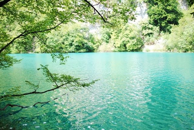 photo DSC_0137_zpsdoqjlbsp.jpg