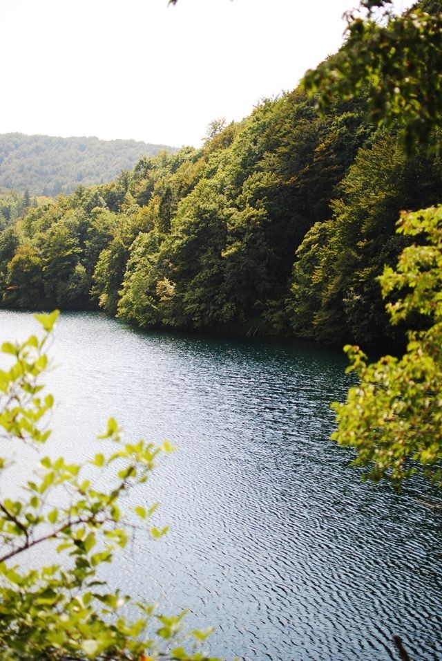 photo DSC_0207_zpsdplknxah.jpg