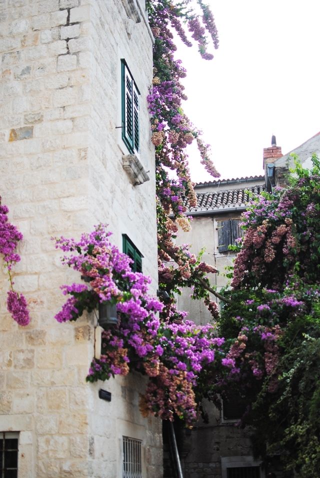 photo DSC_0297_zpso27xxqa7.jpg