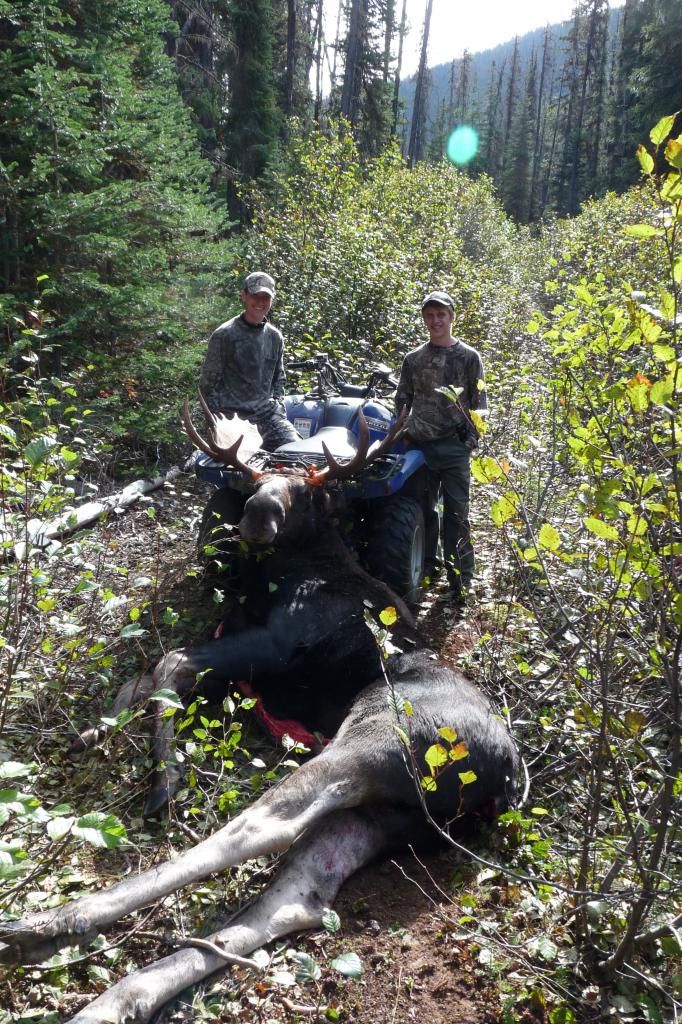 Moose success Pirate 4x4