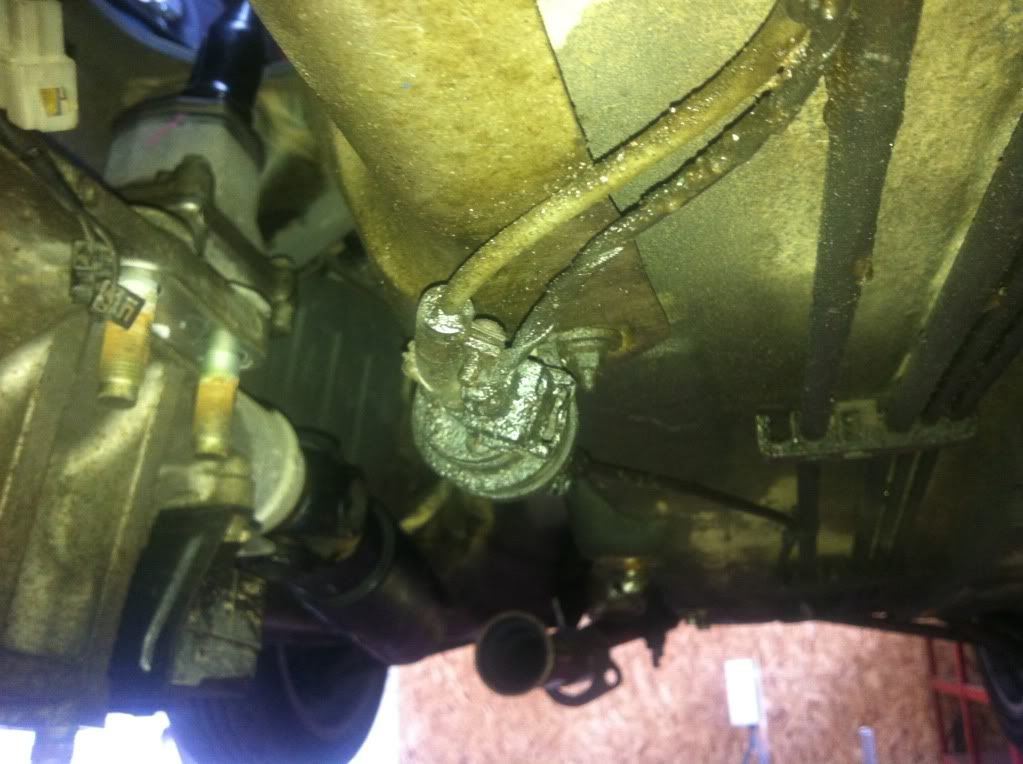 [Image: null_zpsbced31e1.jpg]