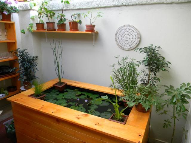 Construye un estanque con peces en tu jardin paso a paso :: subdivx