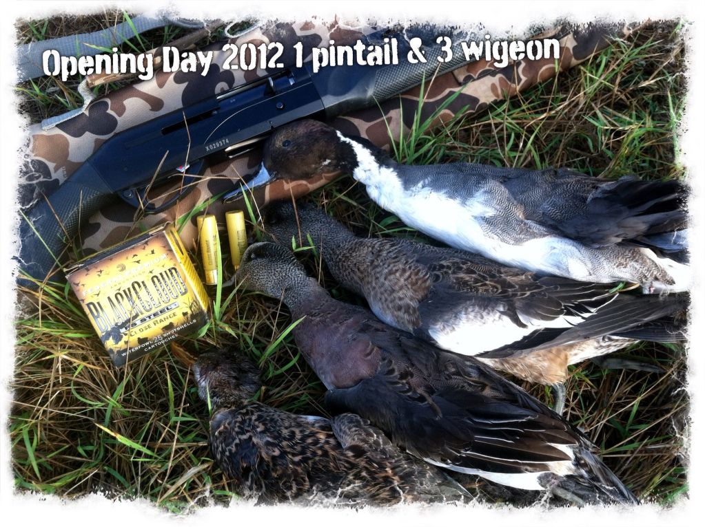 • what shotgun is best for duck hunting?
