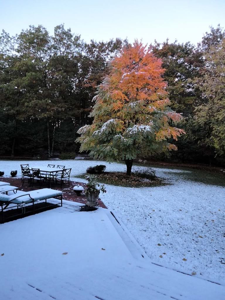 1stsnow.jpg
