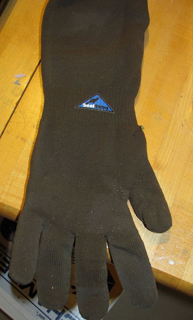 glove2.jpg