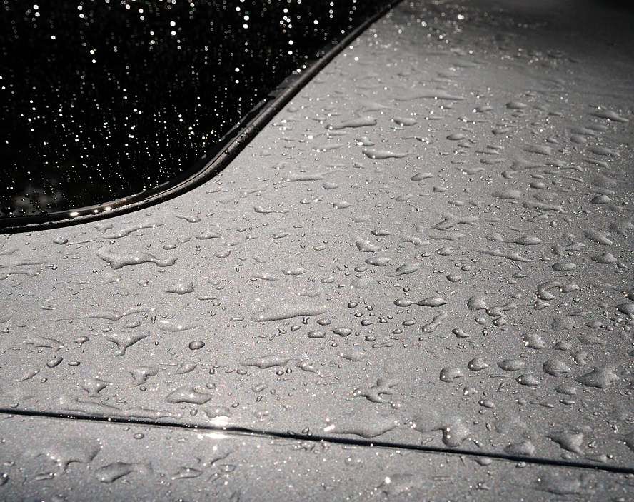 roof.jpg