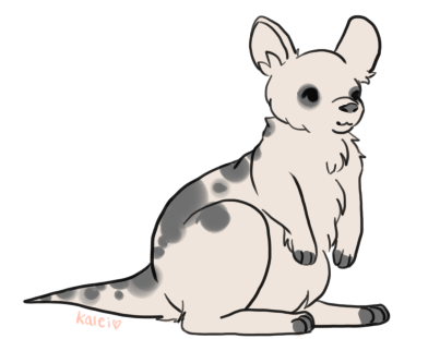 wallaby_one.png