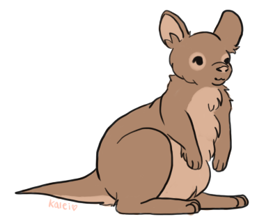 wallaby_two.png