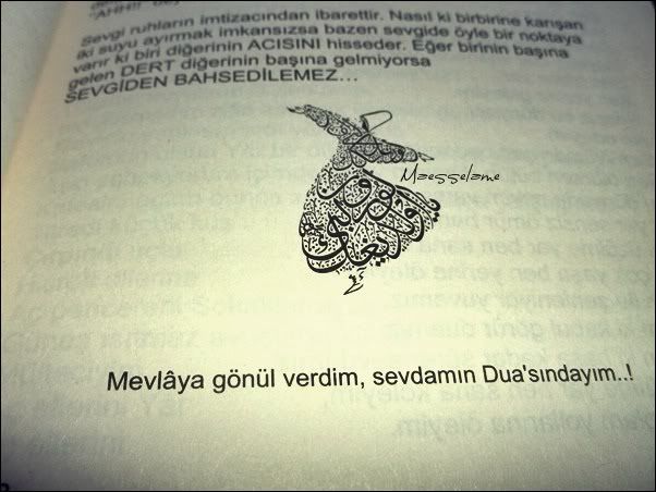 Kütüphâne. Kütüphâne.