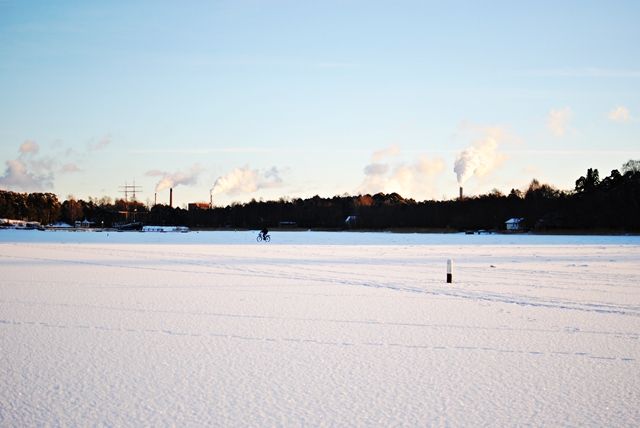 photo DSC_0466_zps2h4sqdgs.jpg