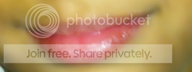 12112010446copy.jpg