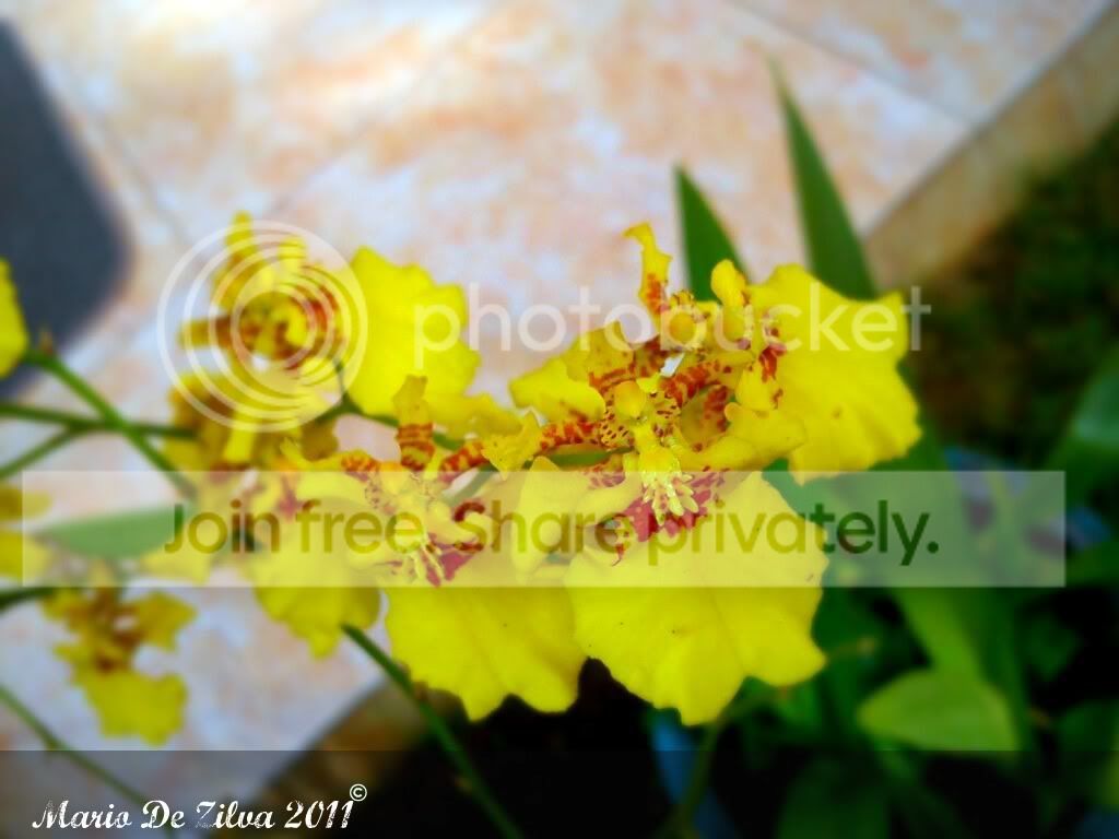 DSC00115_edit.jpg