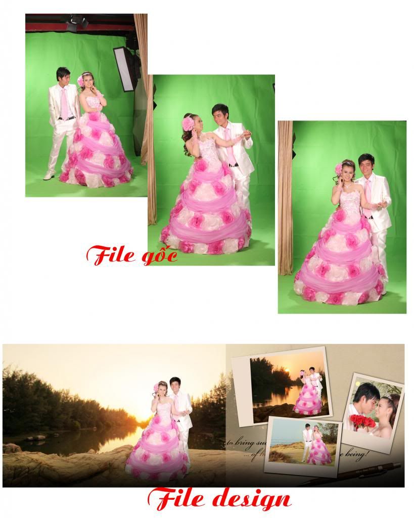 Posted Image