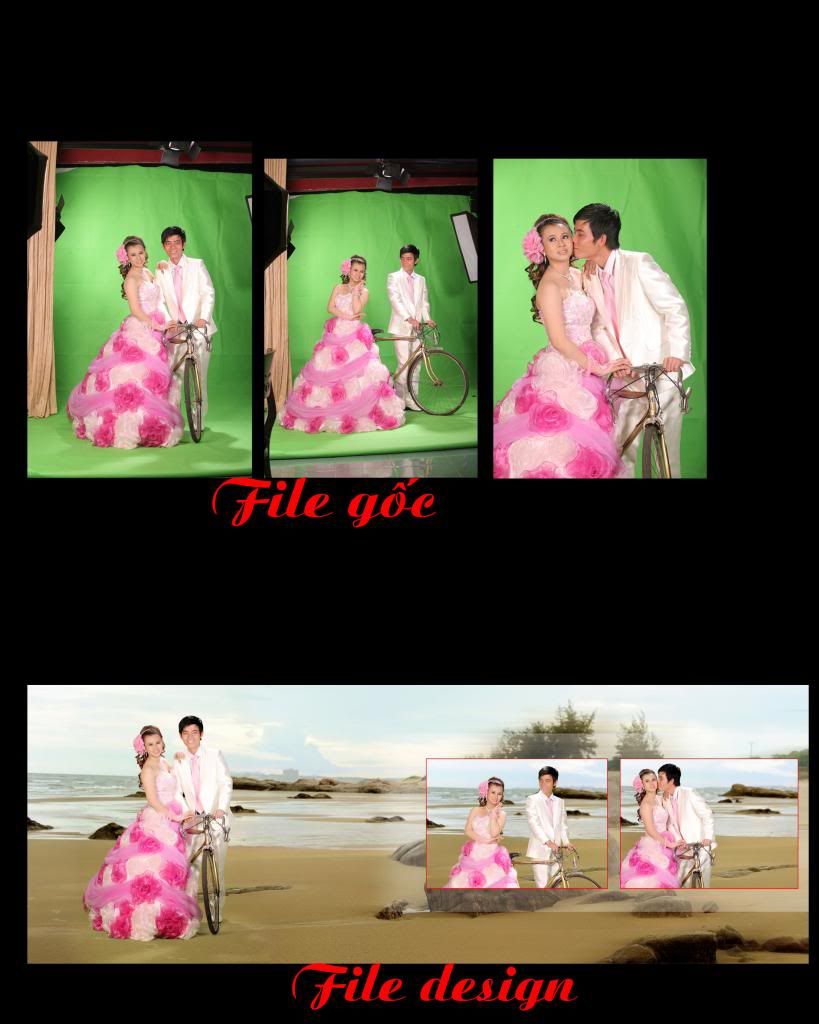 Posted Image