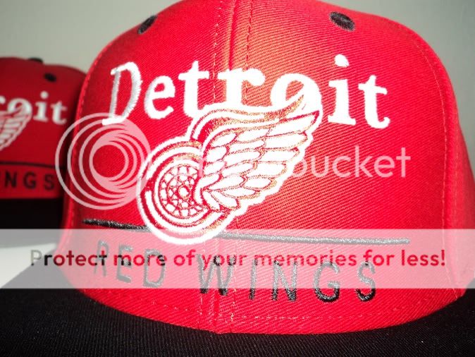 DETROIT RED WINGS SNAPBACK HAT REDWINGS SKYLINE tisa  